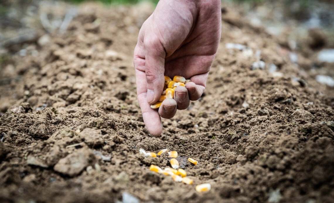 Čeka li poljoprivrednike u Republici Srpskoj skuplja proljećna sjetva?