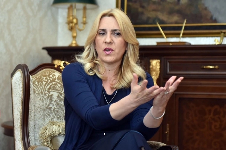 Cvijanović: Političko razumijevanje Srpske i Izraela na visokom nivou