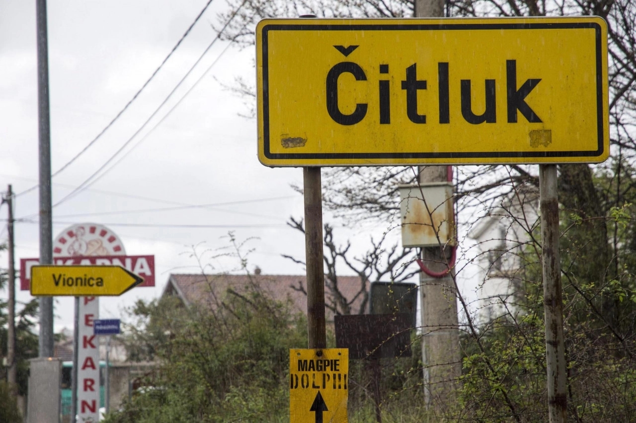 Drvo palo i usmrtilo djevojčicu