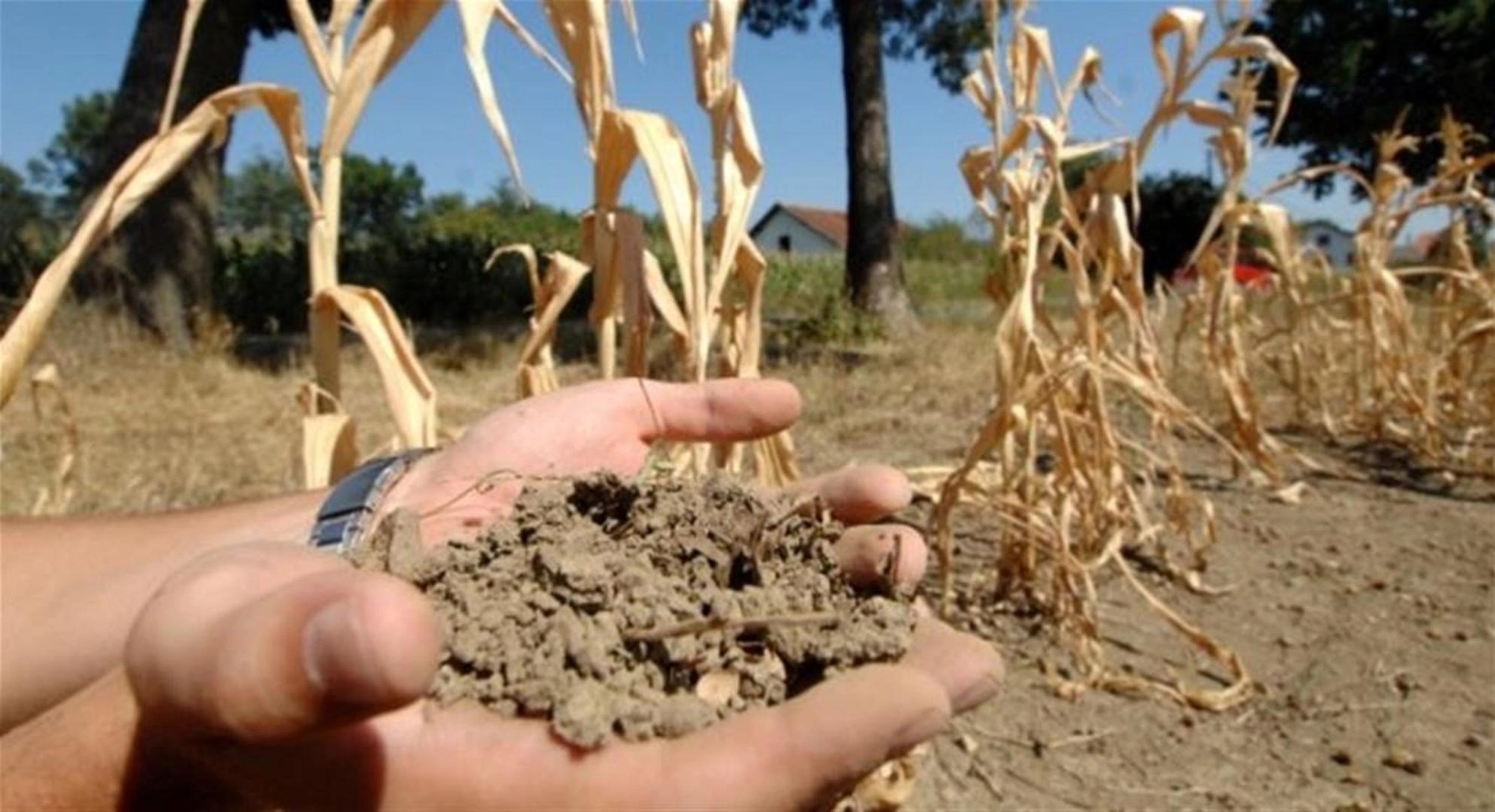Evropa se zagrijava duplo brže od ostatka svijeta