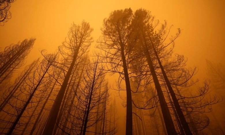 Jul bio najtopliji mjesec u istoriji: “Ovo je uznemiravajuće”