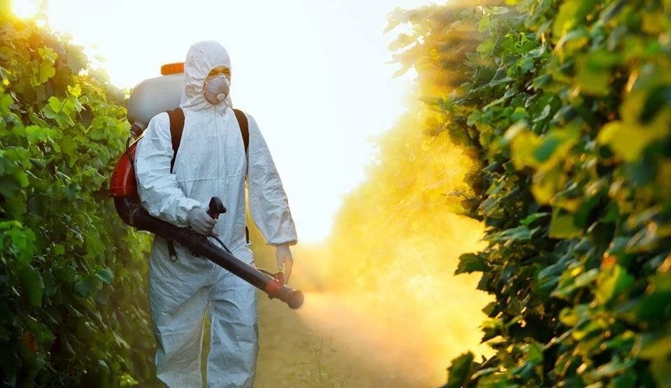 Nepoželjni insekti: Sutra akcija uništavanja larvi komaraca