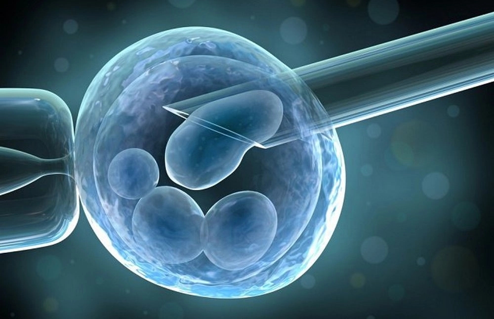 Početkom aprila konkurs za sufinansiranje vantjelesne oplodnje