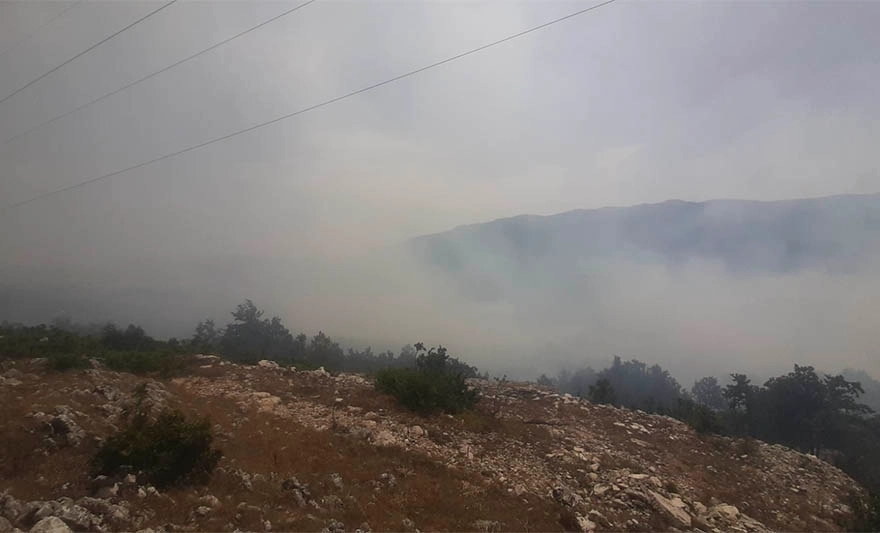 Požar u Popovom polju