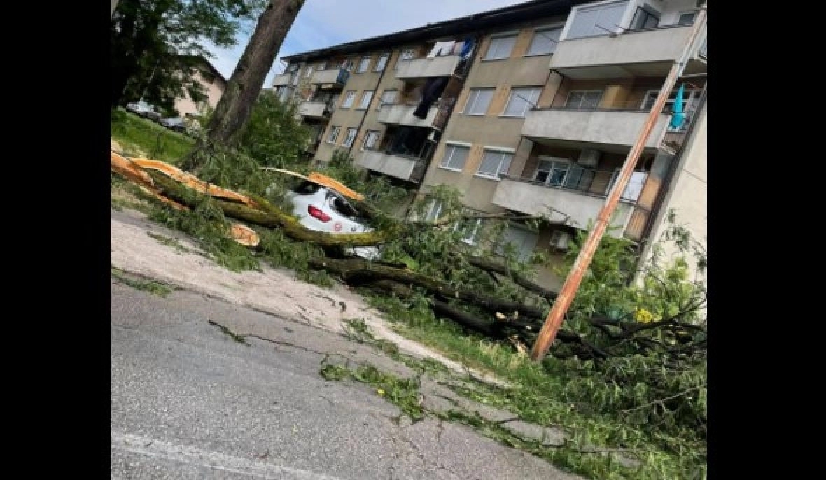 Tokom nevremena u Bihaću grana s drveta pala na jednu osobu i usmrtila je