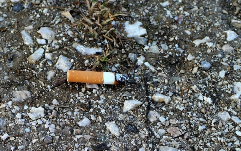 U jeku požara iz policijskog auta izletio opušak cigarete