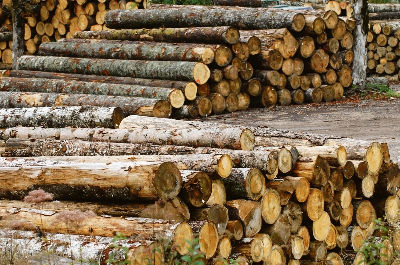 Zabranjen izvoz ogreva