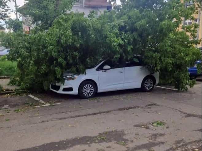 Banjaluka: Drvo palo na automobil