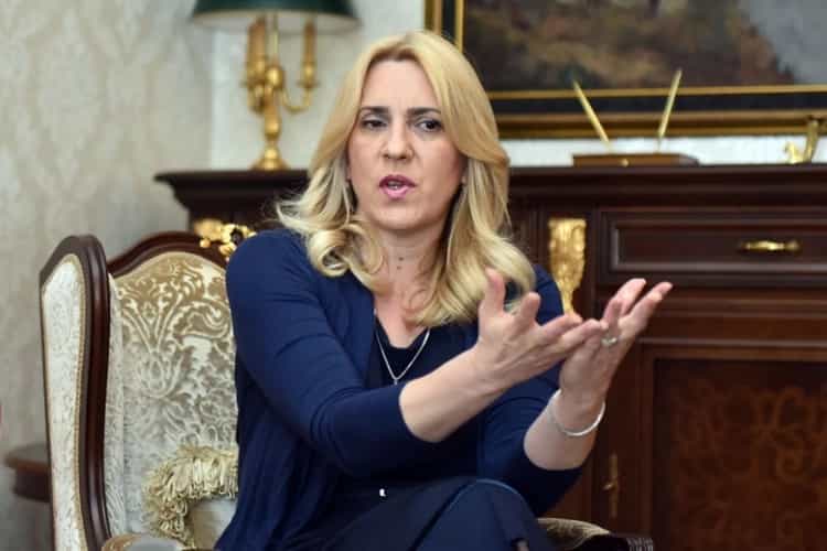 Cvijanović: Političko razumijevanje Srpske i Izraela na visokom nivou