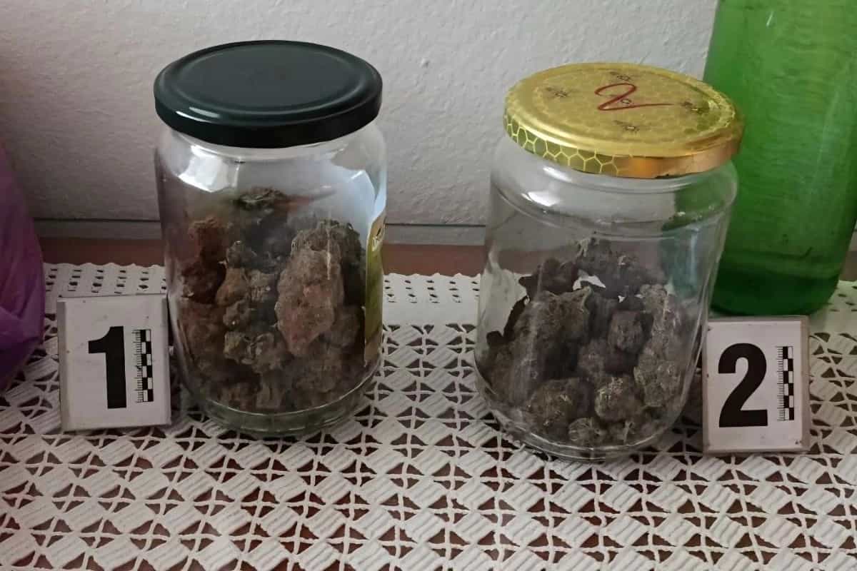 Dvojac uhapšen u akciji “Pumba” u Banjaluci, zaplijenjena droga