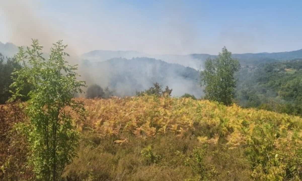 I dalje aktivan požar kod Banjaluke: Jak vjetar ponovo rasplamsao vatru