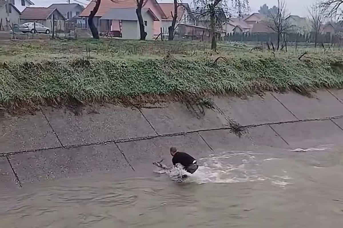 Jovan Ilić iz Bratunca skočio u rijeku kako bi spasio srnu (VIDEO)
