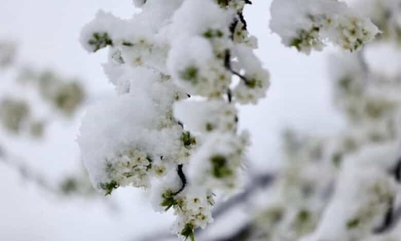Kakvo nas vrijeme očekuje danas
