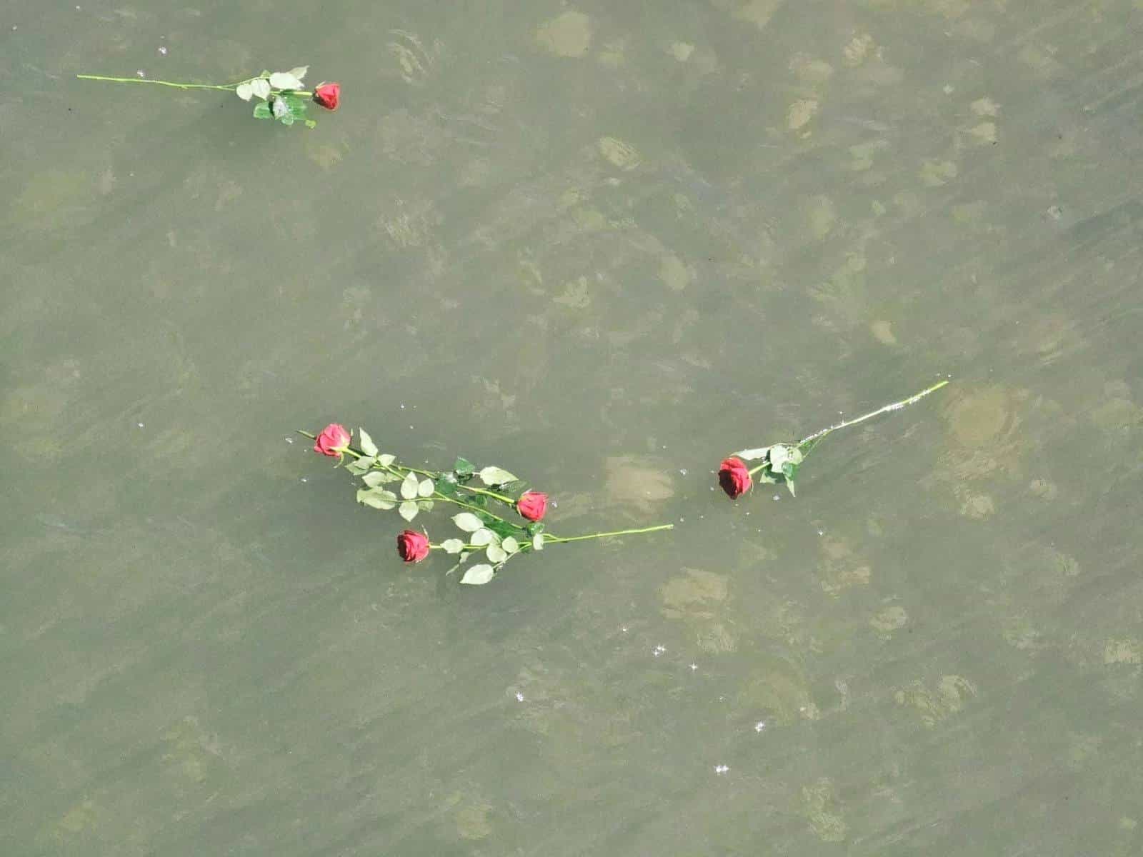 Sjećanje na stradale u majskim poplavama u Doboju: U Bosnu pušteno 11 ruža