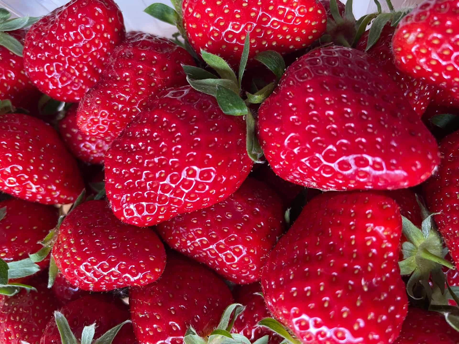 Stigle domaće jagode, cijene izazvale veliku pažnju kupaca