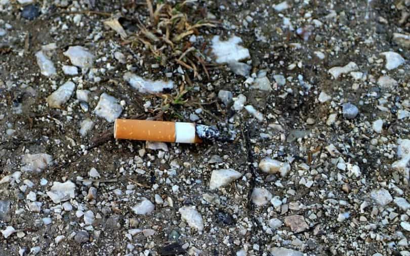 U jeku požara iz policijskog auta izletio opušak cigarete
