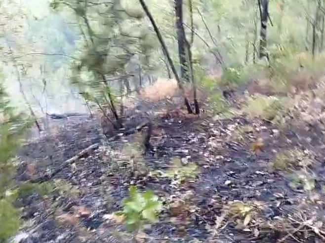 Vatrogasci cijelu noć gasili požar u Vrbanji, situacija bolja jutros (VIDEO)