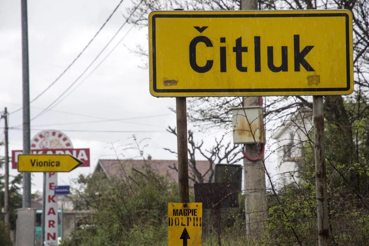 Drvo palo i usmrtilo djevojčicu