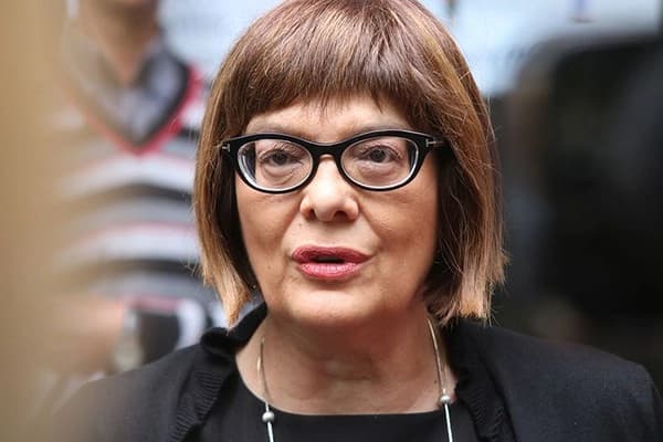 Gojković: U delu BiH i na Kosmetu deluju ogranci Islamske države