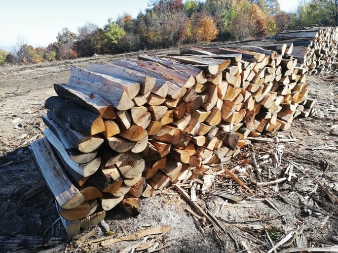 Građani se plaše poskupljenja drva
