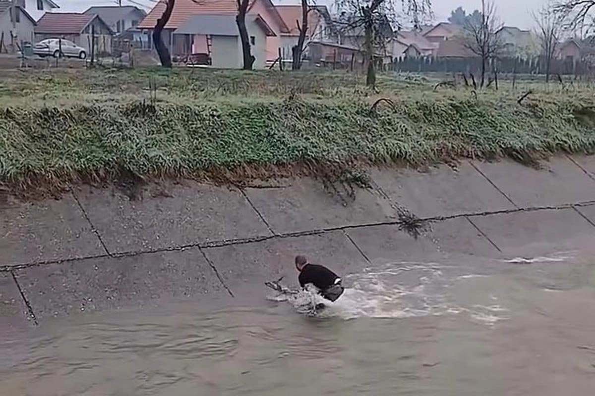 Jovan Ilić iz Bratunca skočio u rijeku kako bi spasio srnu (VIDEO)