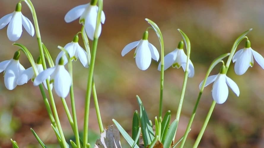 Kakvo nas vrijeme očekuje sutra