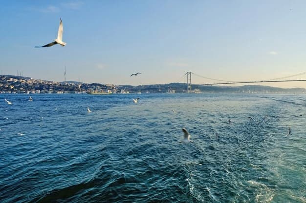 Kijev zatražio od Ankare da zatvori Bosfor i Dardanele