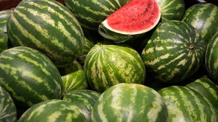 Lubenice u BiH dobro su rodile ove godine, uskoro počinje berba