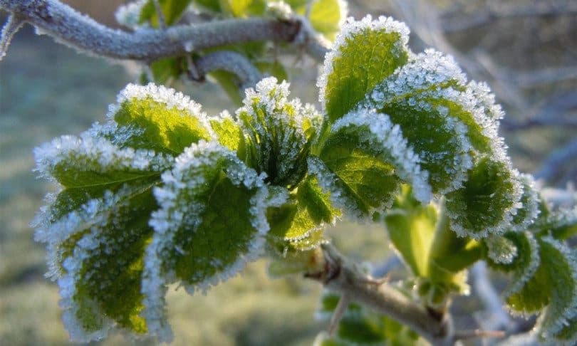 Meteorolozi objavili novu prognozu za 1. maj