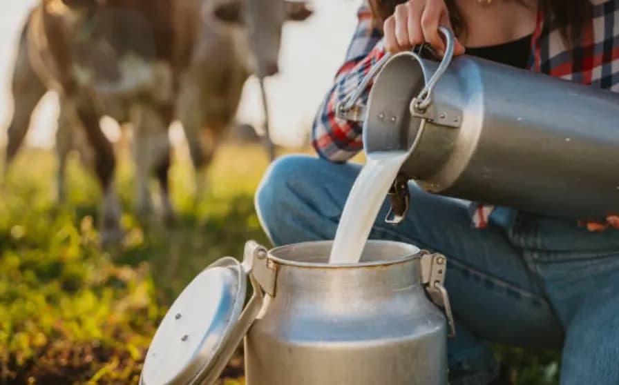 Mljekari u Srpskoj pred kolapsom, mnogi razmišljaju o gašenju