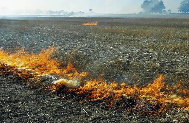 Muškarac stradao prilikom paljenja korova