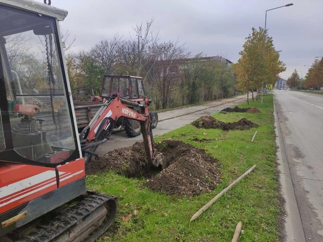 Podignuti novi i rekonstruisani postojeći drvoredi