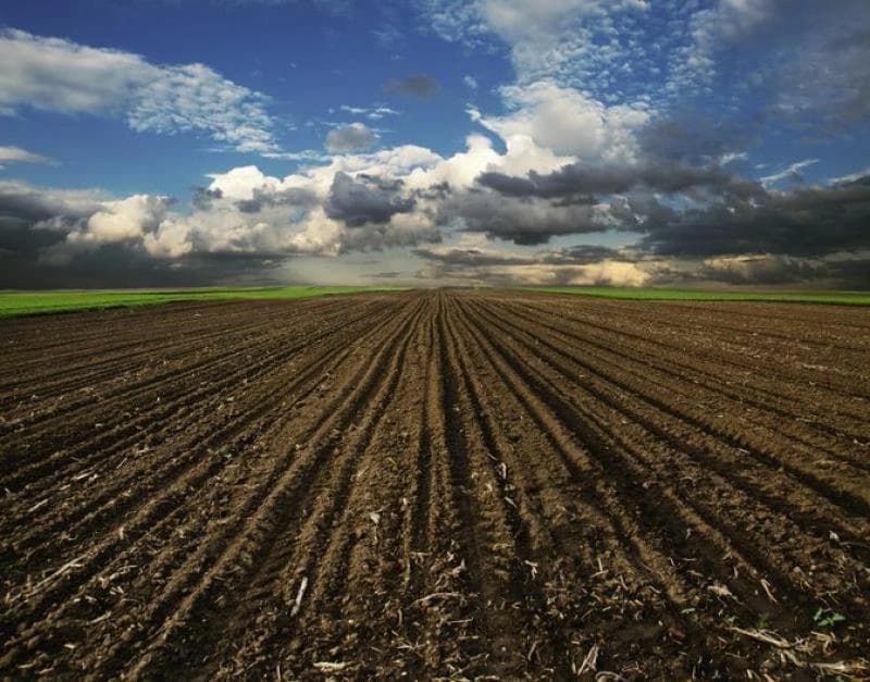 Više od 50 odsto obradivih površina u BiH se ne obrađuje