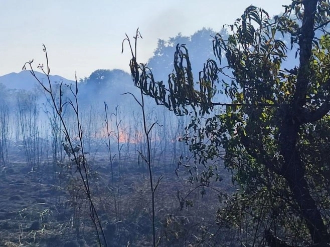 Aktivni požari u više sela na području Trebinja