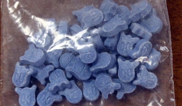 Droga pronađena kod 34 osobe na festivalu u Banjaluci