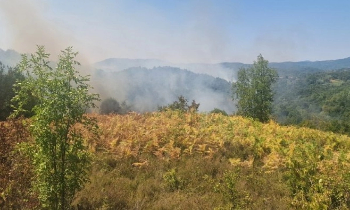 I dalje aktivan požar kod Banjaluke: Jak vjetar ponovo rasplamsao vatru