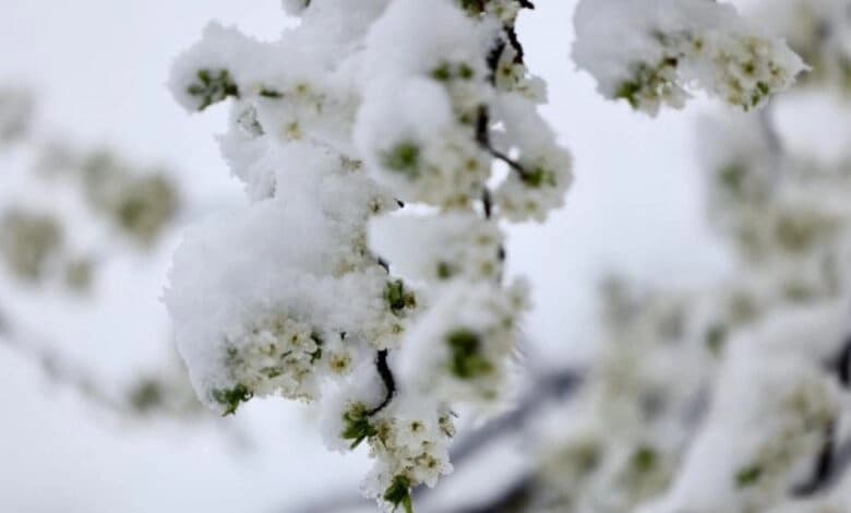 Kakvo nas vrijeme očekuje danas