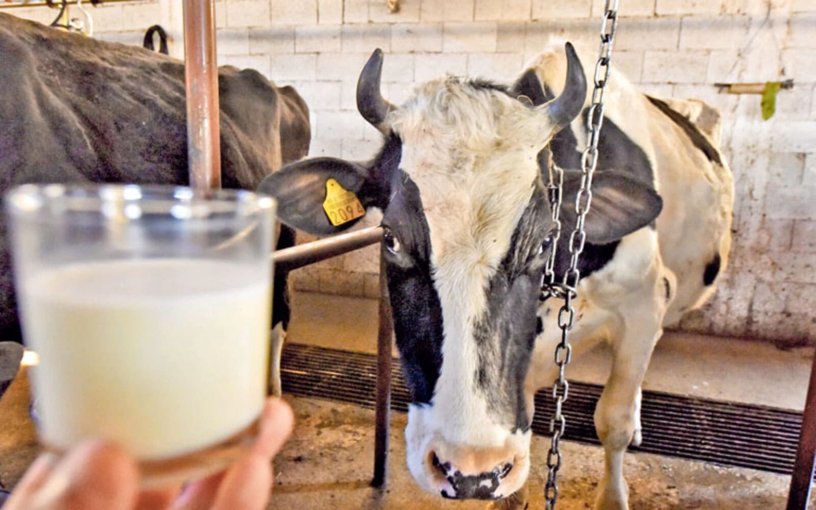 Košarac: Spremni smo da predložimo uvođenje zaštitnih mjera na zahtjev ministarstava Srpske i FBiH