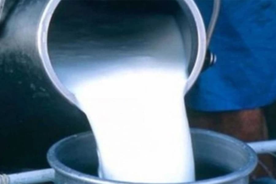 Lidl u Srbiji najavio otkup milion litara mlijeka od domaćih proizvođača