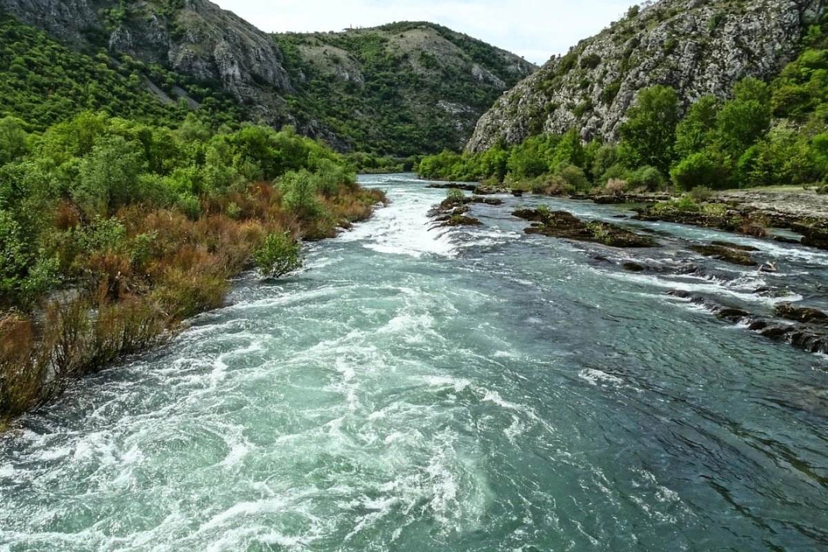 Naučnici pojasnili šta je uzrokovalo pomor ribe u rijeci Neretvi