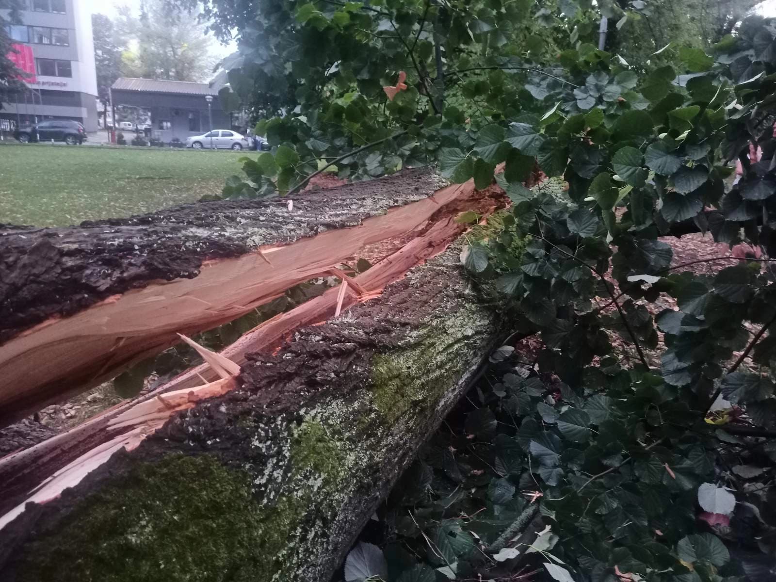 Nevrijeme protutnjalo Banjalukom