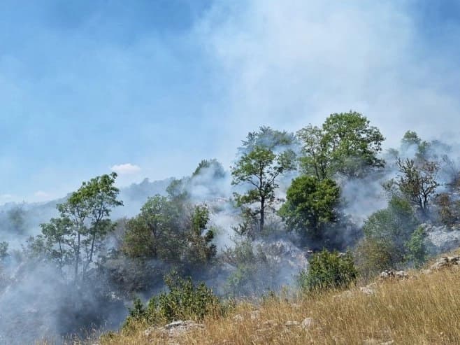 Požar kod Herceg Novog se širi, evakuisana porodica, angažovani helikopteri i avioni