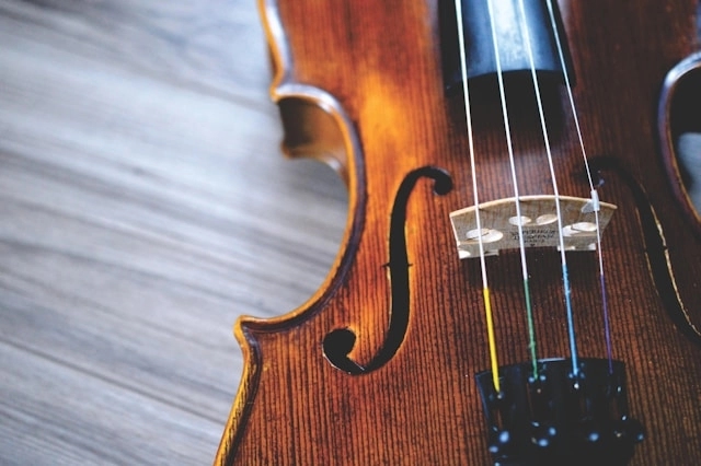Srbin pronašao skupocjenu violinu pa pokušao da je proda proizvođaču