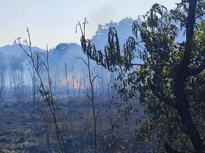 Stabilna situacija na požarištu kod Trebinja