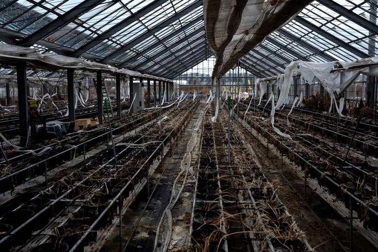 Teška odšteta zbog katastrofe u Fukušimi: Šefovi moraju da plate 94 milijarde evra