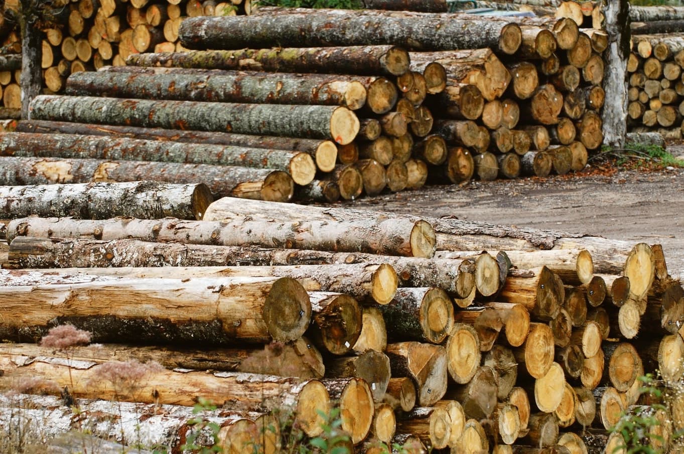 Zabranjen izvoz ogreva