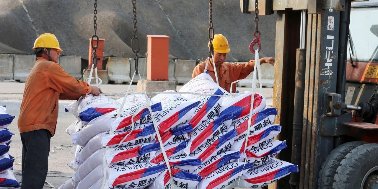 Zbog ovisnosti Evrope o ruskom đubrivu cijene hrane obaraju rekorde