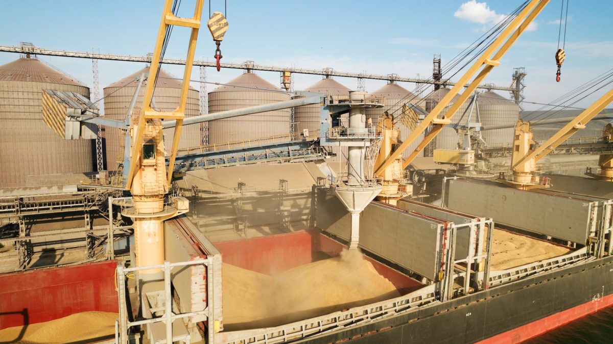 Rusija isporučila 200.000 tona pšenice kao pomoć afričkim zemljama