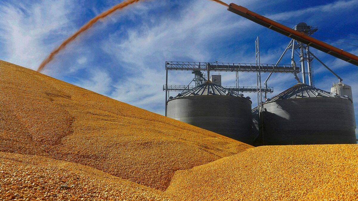 Kuleba: Ukrajina neće praviti ustupke u obnavljanju sporazuma o izvozu žita