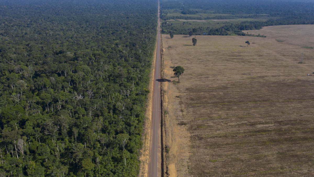 Seku i ne pitaju za sutra – nestaje Amazonija